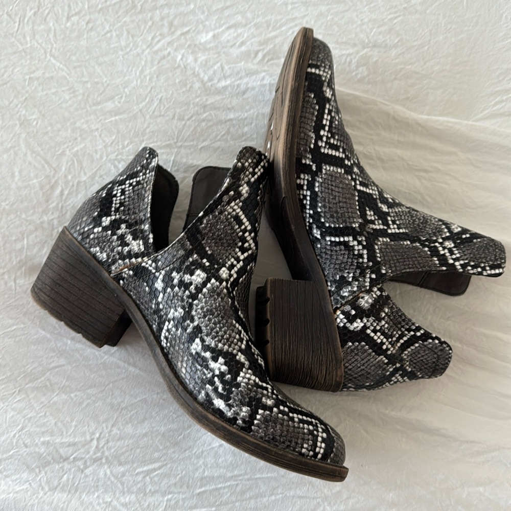 Volatile Snake print ankle booties